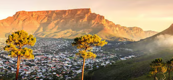 A Fresh Perspective on What Makes Ethiopian Airlines Unique