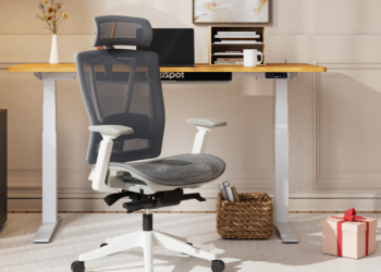 Flexispot-Möbel: Ergonomie trifft Technik für Zuhause und Büro