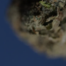 The Evolution of Mood in the Wellness & Legal THC Landscape