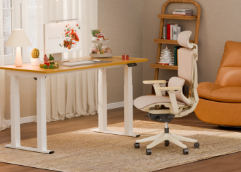 FlexiSpot und Seine Produktwelt