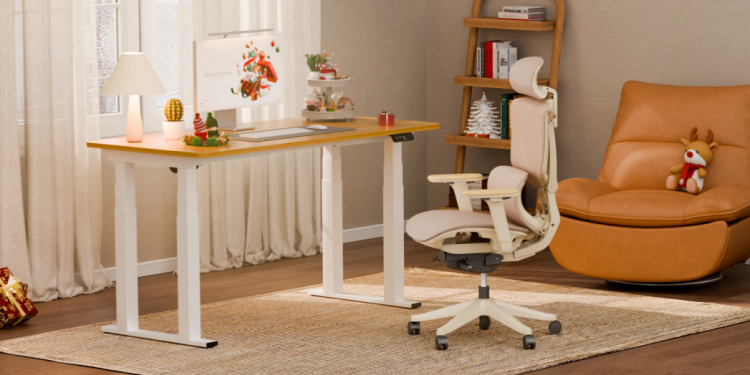 FlexiSpot und Seine Produktwelt