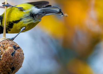 Tradition und Fachkompetenz bei Grube