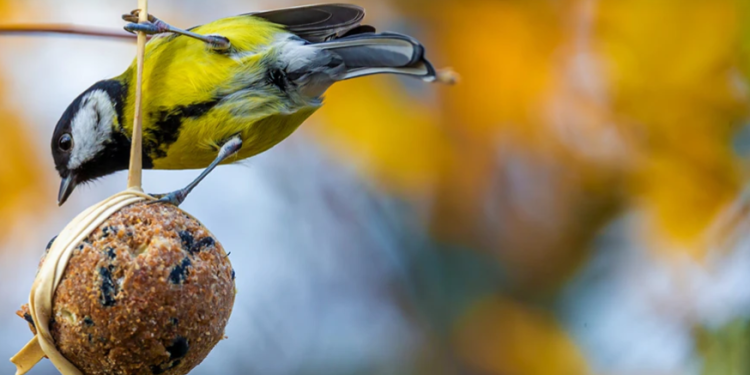 Tradition und Fachkompetenz bei Grube