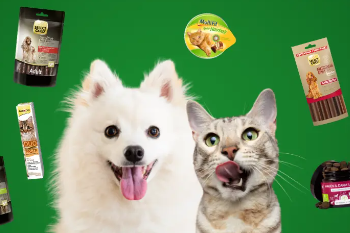 Mobilität sichern mit kfzteile24