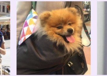 Liletink.pl – szeroki wybór produktów dla zdrowia, urody i codziennej pielęgnacji