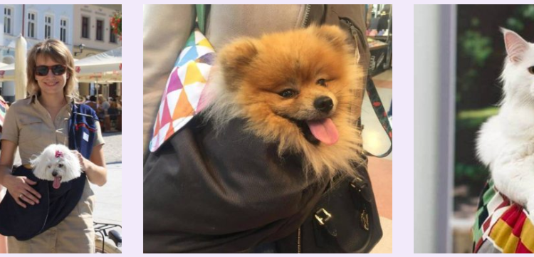 Liletink.pl – szeroki wybór produktów dla zdrowia, urody i codziennej pielęgnacji