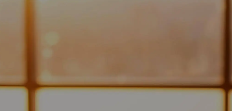 ZwrotZalot.pl – sposób na zwrot kosztów za zakupy i zakupy z korzyściami