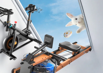 Überblick über die Marke und ihre Ausrichtung